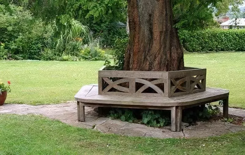 Ідеї ​​облаштування навколо дерева: клумба, лава, стіл, альтанка 14