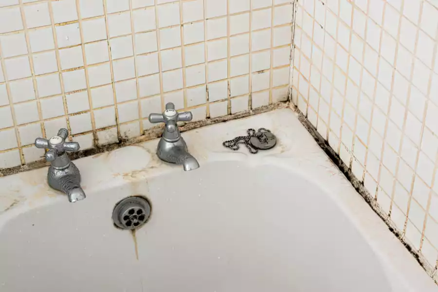 Цвіль у ванній: як позбутися, засоби, методи 3