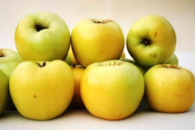Посадка яблуні восени: поради новачкам 3