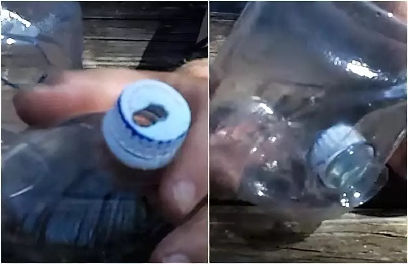 Як швидко і просто зробити годівницю для птахів з пластикової пляшки 15