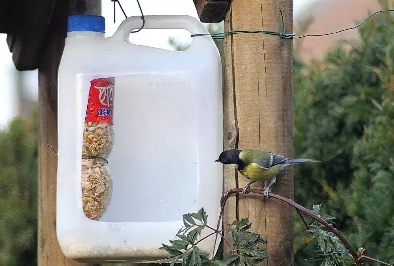 Як швидко і просто зробити годівницю для птахів з пластикової пляшки 9