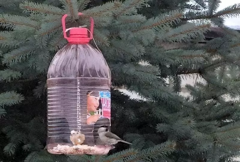 Як швидко і просто зробити годівницю для птахів з пластикової пляшки 1