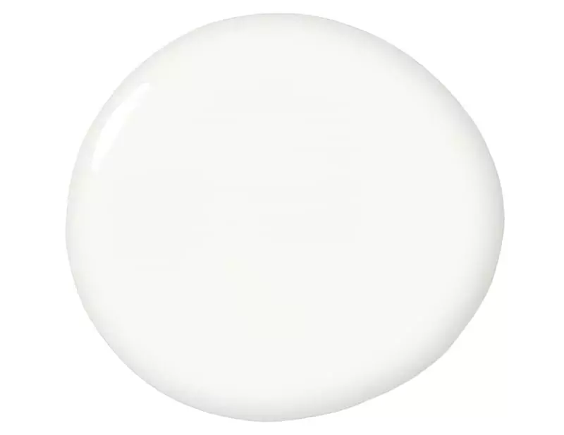 Білий колір в інтер'єрі різних приміщень 42