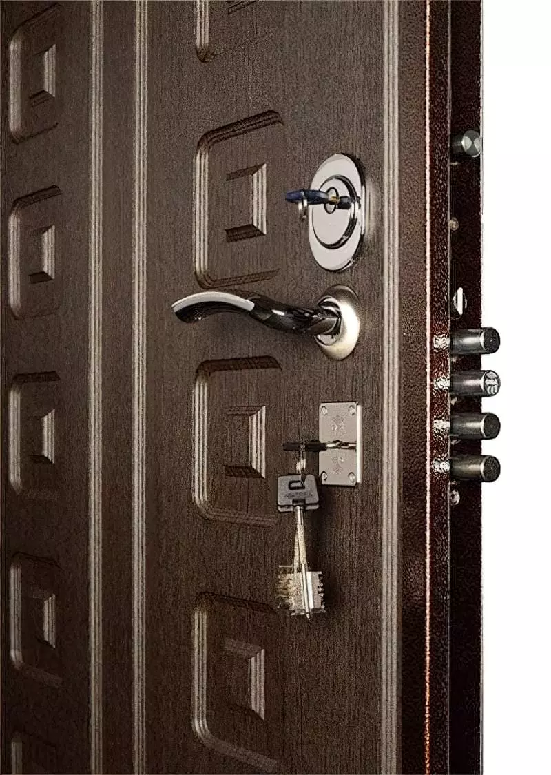 Як вибрати хороші вхідні металеві двері: конструкції, матеріали, захисні властивості 19