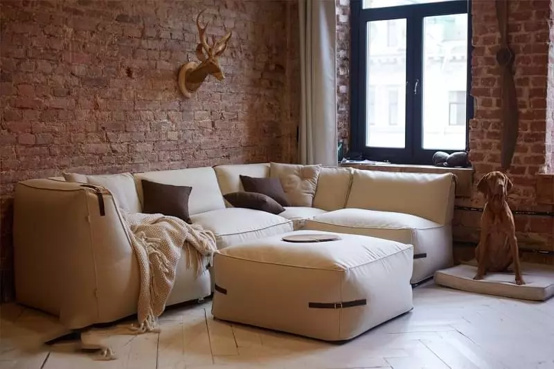 Безкаркасні дивани: особливості, плюси, мінуси, приклади 3