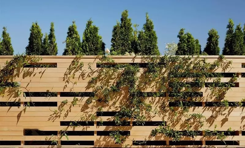 Ідеї для будівництва красивого дерев'яного паркану 1