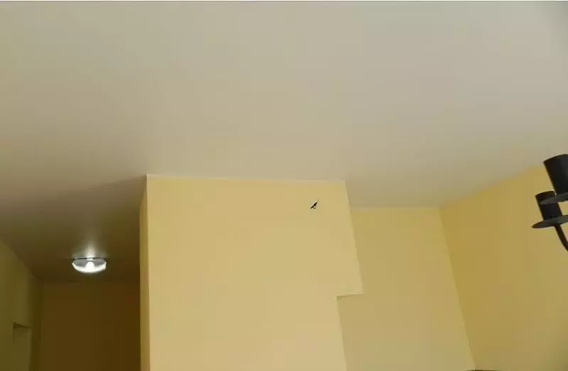Звукоізоляція стелі в квартирі під натяжну стелю: види звукоізоляції 5