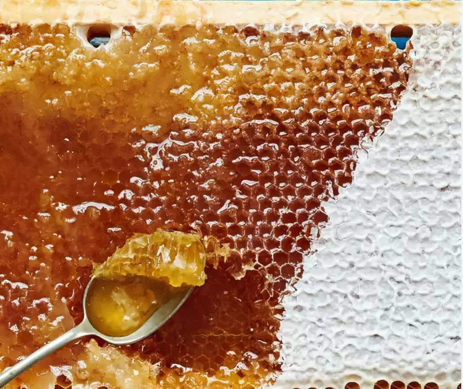 З чого складається мед, як відрізнити підробку 3